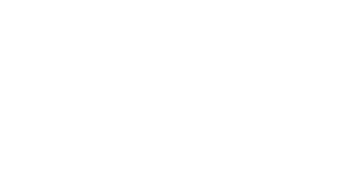 hindu-tamil-theesai logo