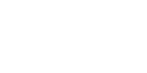 stemz logo
